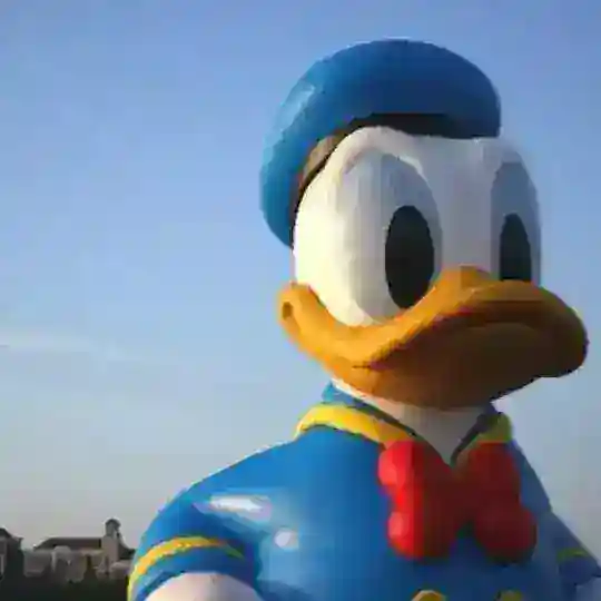 全国可安排