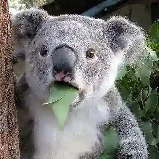 🔥秘密花园 🐳 开车群