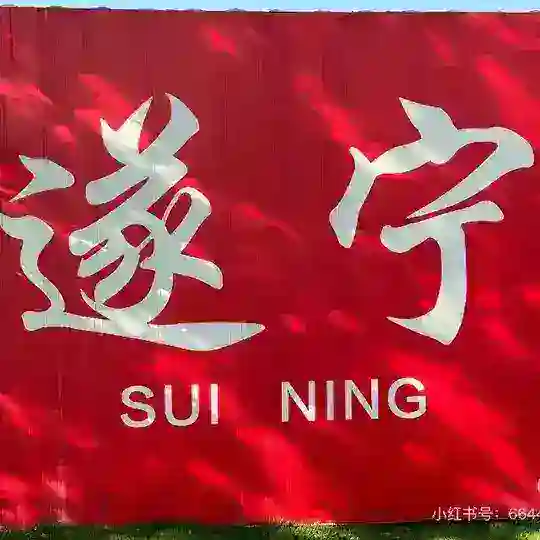 遂宁修车