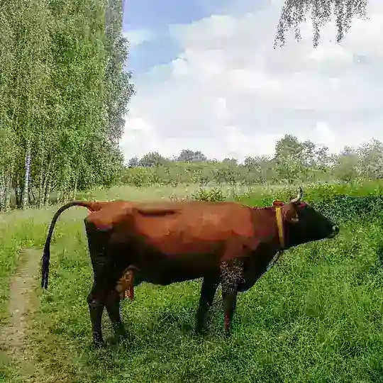 #СпасиУзкое ОБСУЖДЕНИЯ