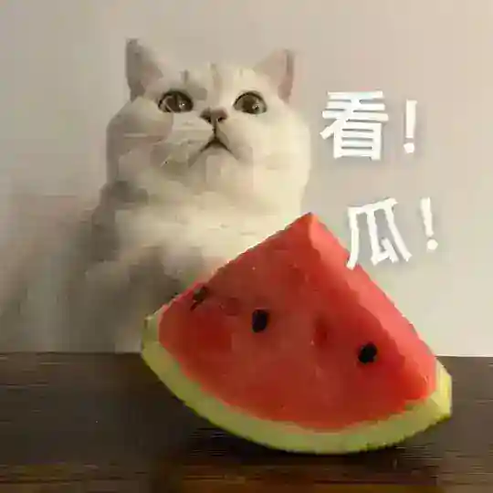 吃瓜群众开心联盟