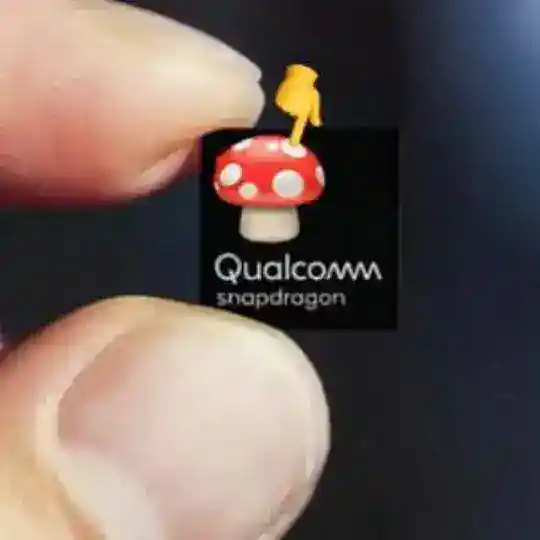 surprizer roms support