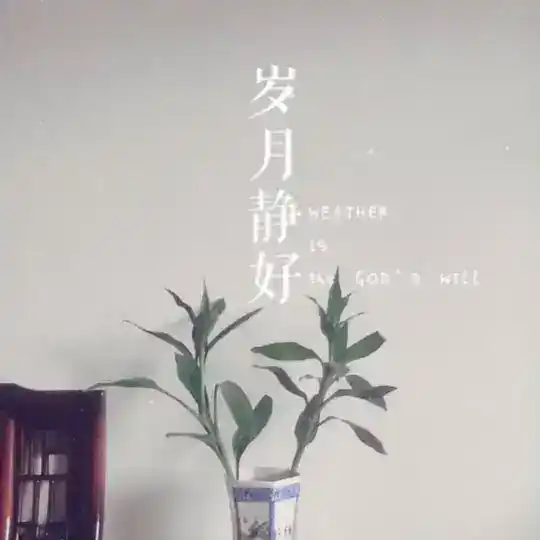 支付精准业务对接1群（免费广告）