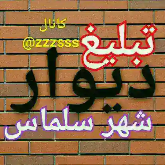 تبلیغ دیوارسلماس