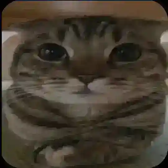 Taha'nın Mekânı