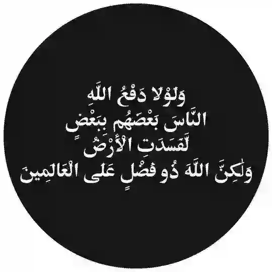 Tariq Hamed - طارق حامد