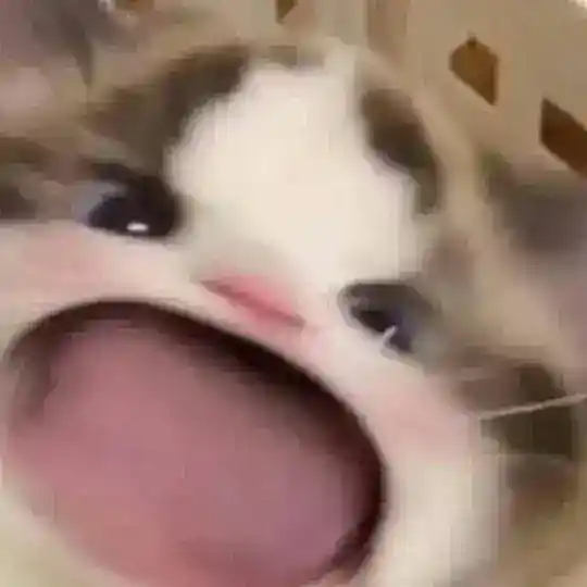 RẢI LINK PHỐT BOSS BÙNG