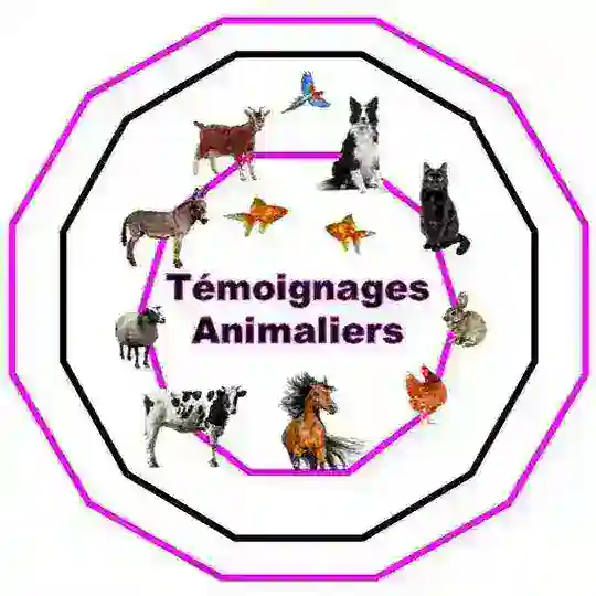TEMOIGNAGES ANIMALIERS pour TOUS