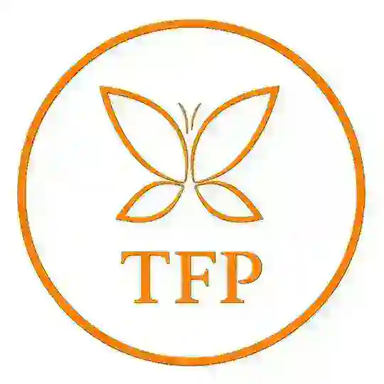 FLY MODELS TFP