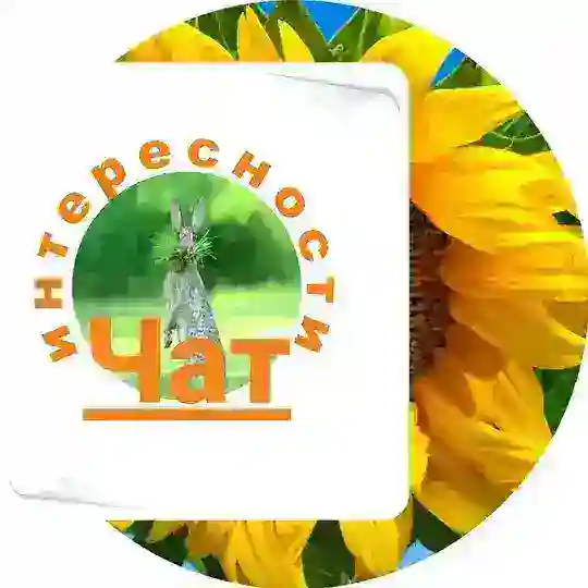 ЧАТ | Обсуждения, советы