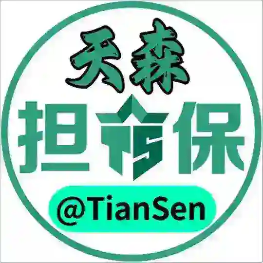 天森担保 @TianSen