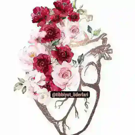 👨‍⚕👨‍⚕❤️KASBIM FAXRIM❤️🧑‍⚕🧑‍⚕