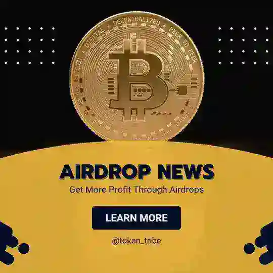 token tribe chat | گروه ایر دراپ ها