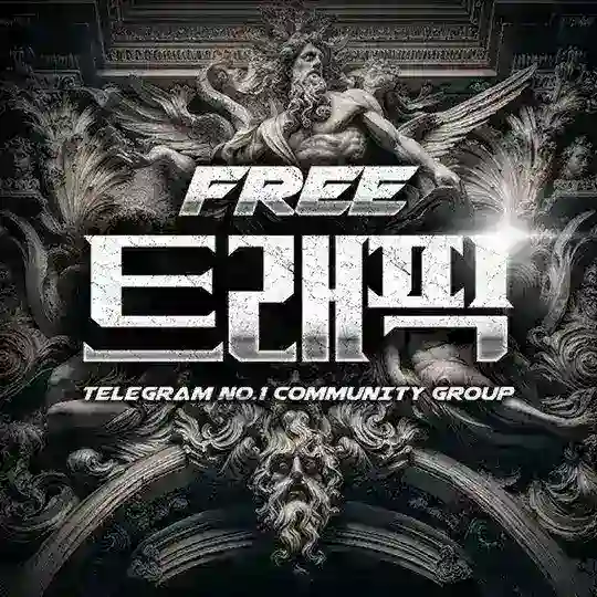 트래픽 free