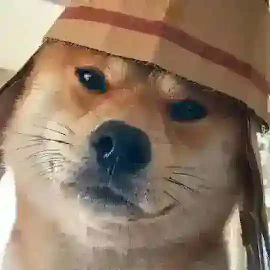 逃生交流群