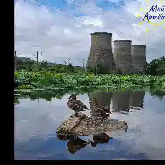 ТУ "Артемовский" администрации АГО чат