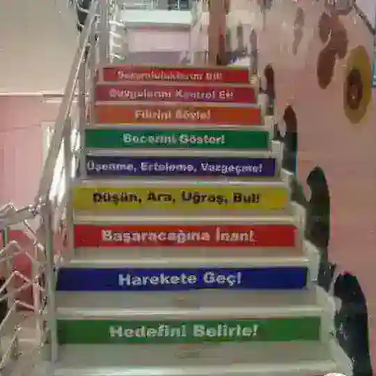 Milliy Sertifikat Türk Dili