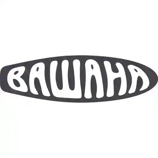 Чат сап-фестиваля «Вашана»