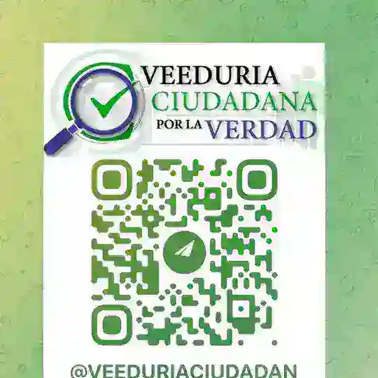 VEEDURIA CIUDADANA POR LA VERDAD