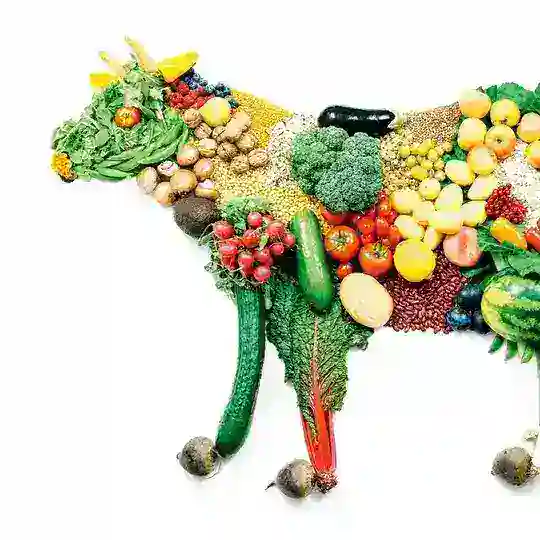 Vegan in Dresden