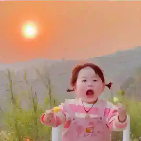 朝阳NG总代线