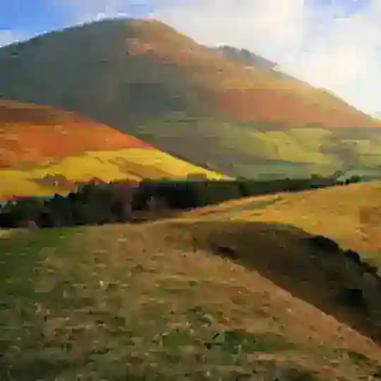 阿文