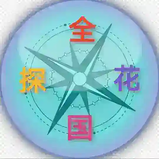 全国探花（中低高端）外围