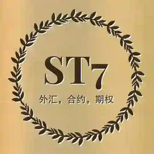外汇*合约*期权
