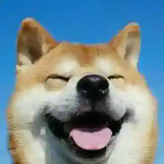 ZX买卖/宣传群