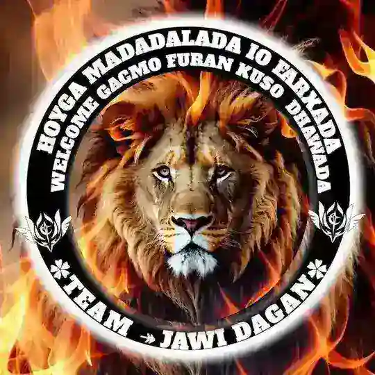 ✿𝑻𝑬𝑨𝑴 ↞ 𝐉𝐀𝐖𝐈↞ 𝐃𝐀𝐆𝐀𝐍✿