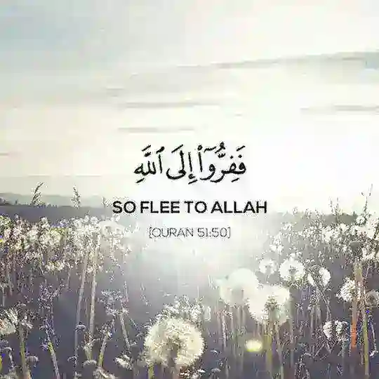 ወደ አላህ ሽሹ ففروا الى الله