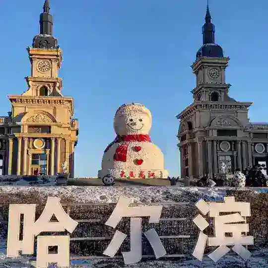 哈尔滨/大连（驻凡）公开榜