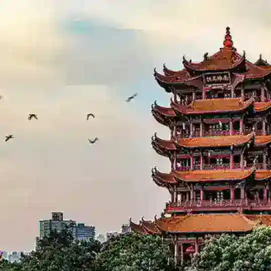 湖北武汉修车总群
