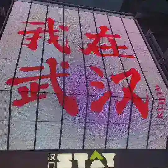 武汉师范大学（修车）🔞