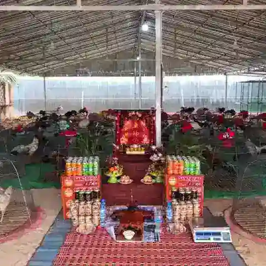 គ្រុបហ៊ាវិន លេងផ្លែដែកVIP 24h