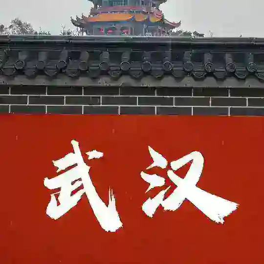 武汉学生会2.0（重组版）