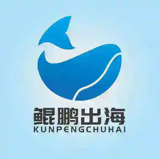 鲲鹏出海-海外资源项目交流群