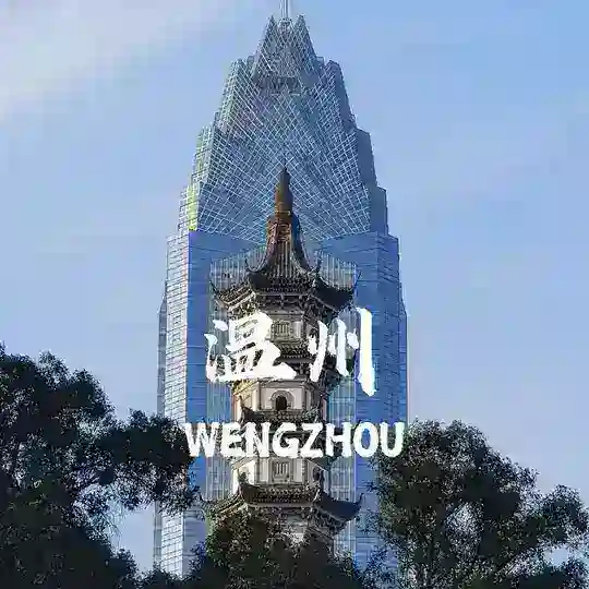 温州精选4T指南