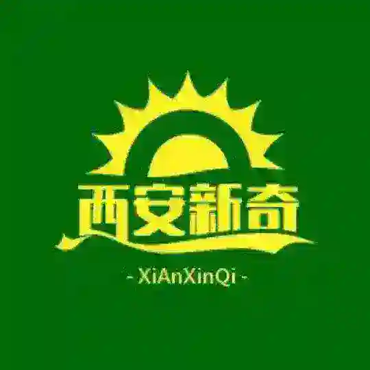 西安新奇总群