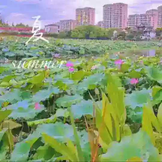 夏季☀️买卖群