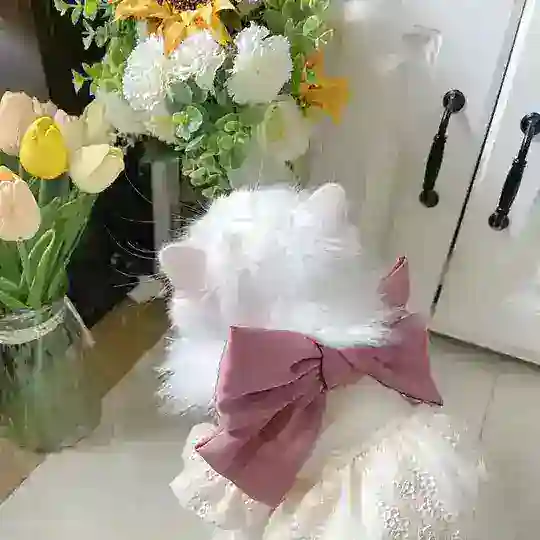 嘴馋小猫の买卖群