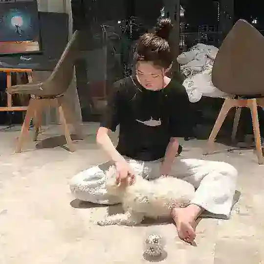 杏泥の交易群