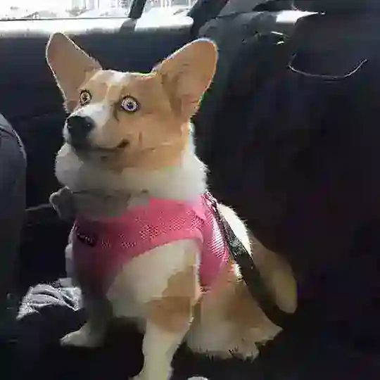 🚘群组频道导航搜索/机器人分享