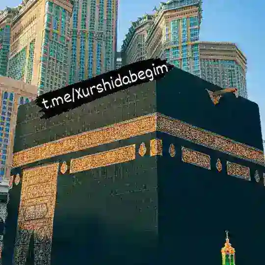 ХУРШИДАБЕГИМ 🏝🕋 🕌 УМРА САФАРИ✈🫳