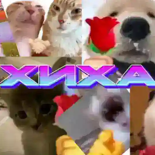 ХИХАПАТИ / 15.05
