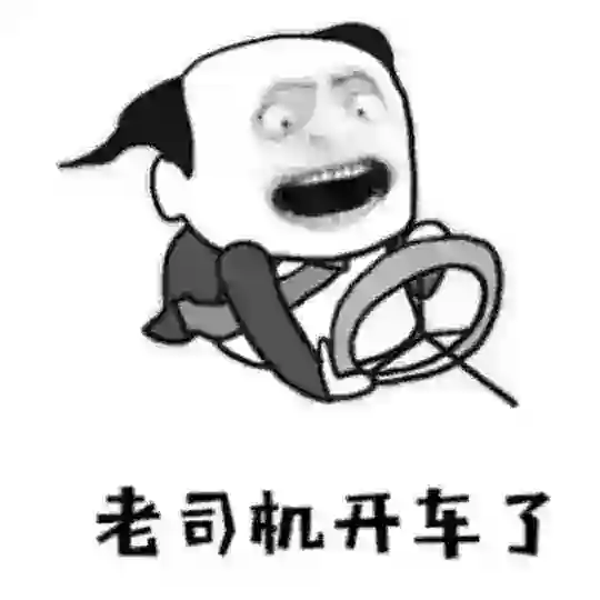 修车.招嫖.视频
