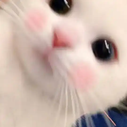☁️买卖群
