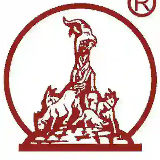 羊城印象