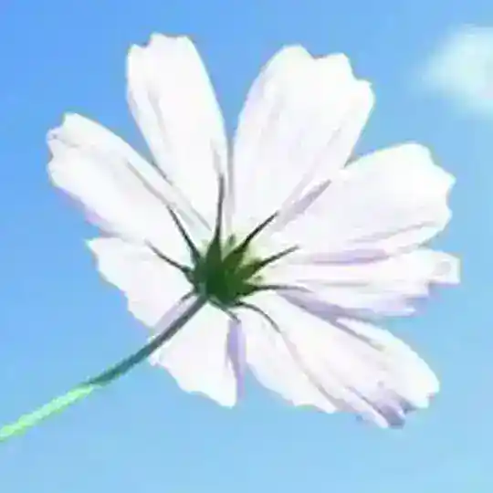 【国人在外】柬埔寨