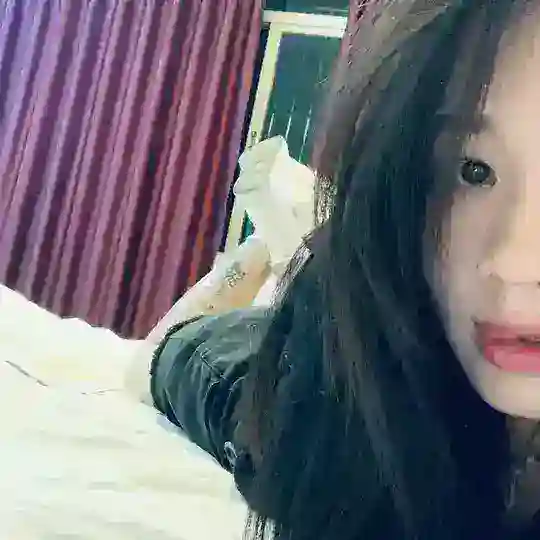报告